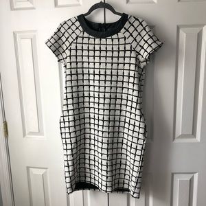 Form Fitting Business Casual Dress